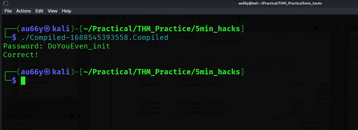 Correct Password THM