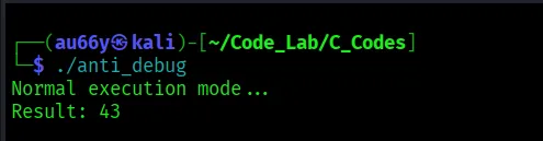 Running with no debugger