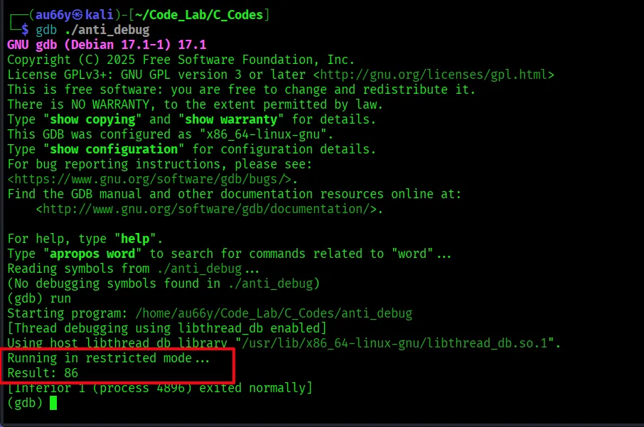 Running with debugger
