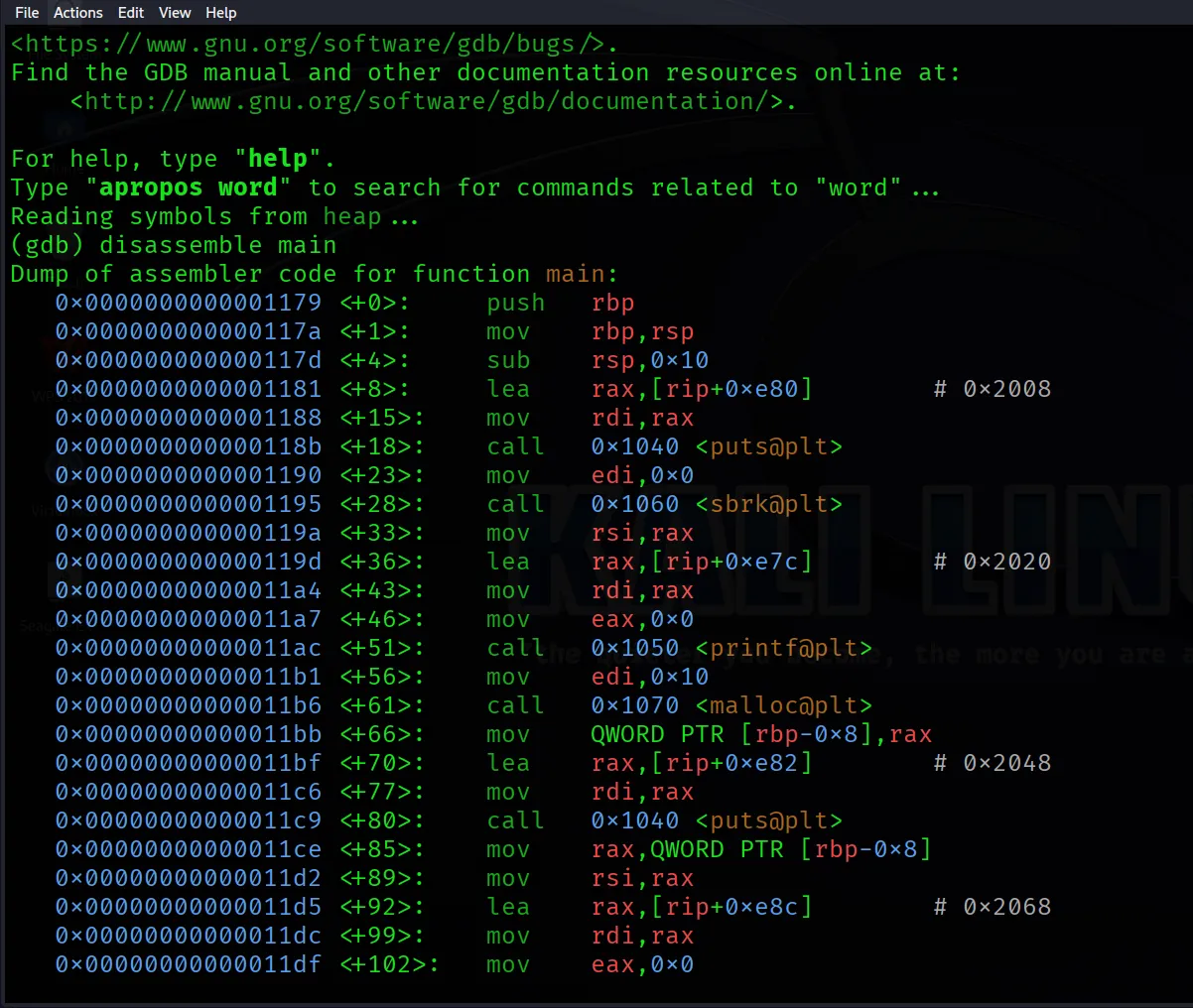 disassemble gdb