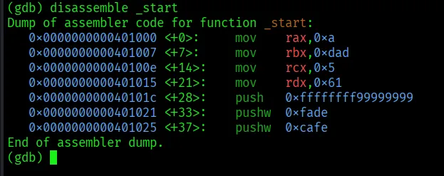 disassemble _start