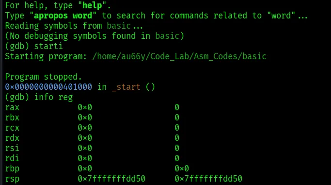 Using starti and info reg
