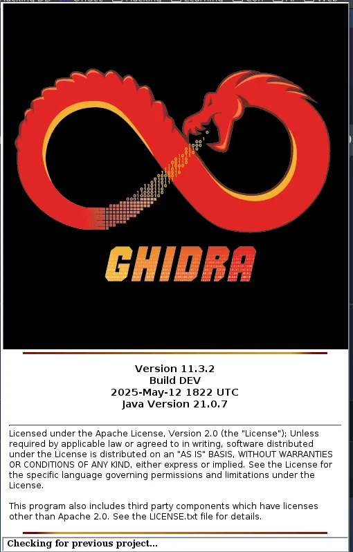 Ghidra THM